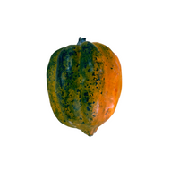 acorn squash