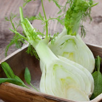 anise, fennel