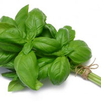 basil