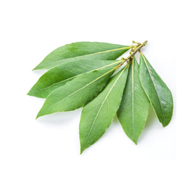 bay leaves