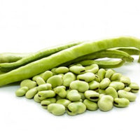 fava beans, broad beans