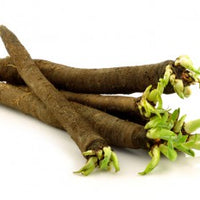 black salsify, scorzonera