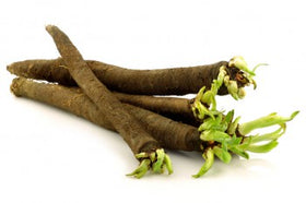 black salsify, scorzonera