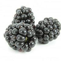 blackberries, dewberries