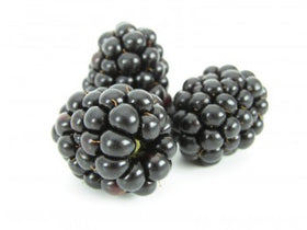 blackberries, dewberries