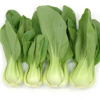 bok choy