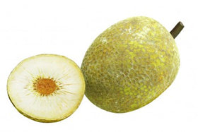 breadfruit