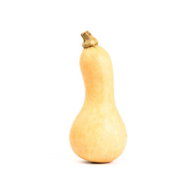 butternut squash