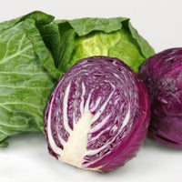 cabbage