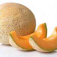 cantaloupe melon