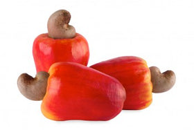 cashew apple