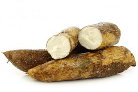 Cassava, yucca, manioc