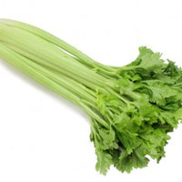 Celery