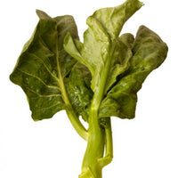 Chinese broccoli, gailan