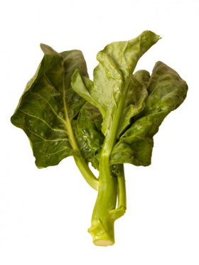 Chinese broccoli, gailan