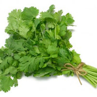 Cilantro, coriander