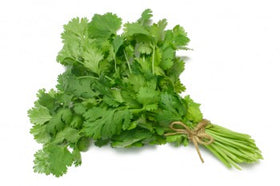 Cilantro, coriander