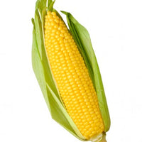 Corn