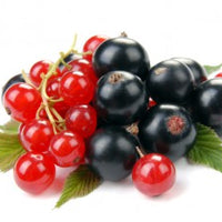 Red and black currants
