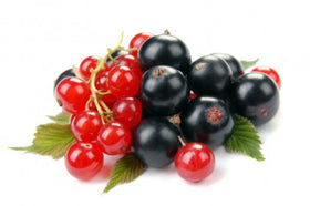 Red and black currants