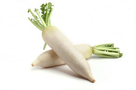 Daikon radish