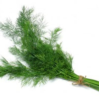 Dill