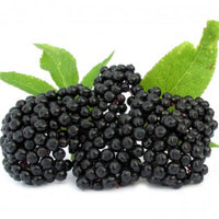 Elderberry