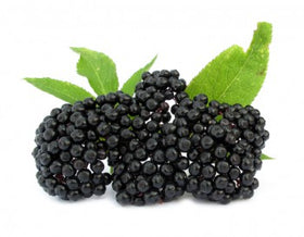 Elderberry