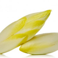 Endive