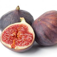 Fig