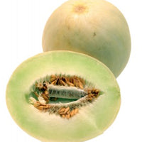 Honeydew