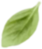 Bottom Review Image