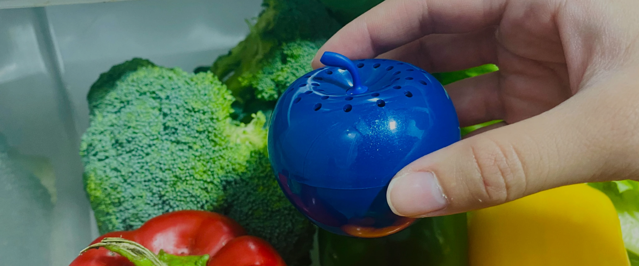 Bluapple being placed by hand