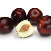 Jujube, Chinese date