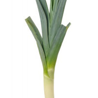 Leek