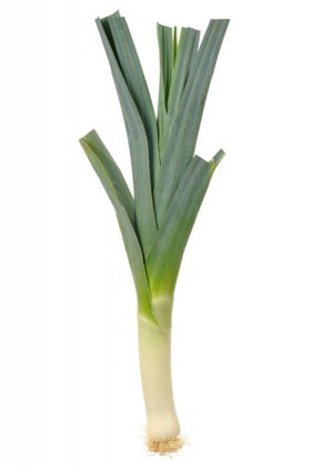 Leek