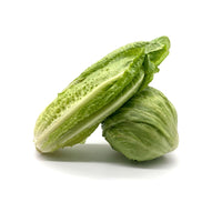 Lettuce - iceburg, romaine