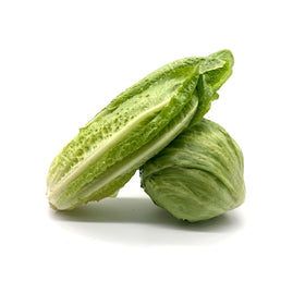 Lettuce - iceburg, romaine