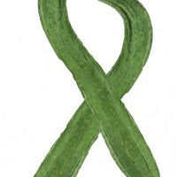 Luffa, Chinese okra