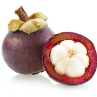 Mangosteen