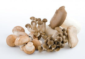 Mushrooms