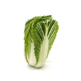 Napa cabbage