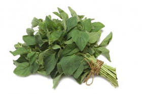 Oregano
