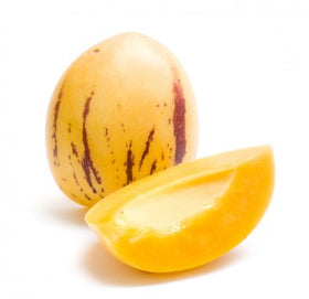 Pepino melon