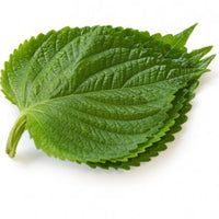 Perilla