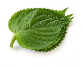 Perilla
