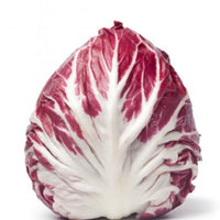 Radicchio