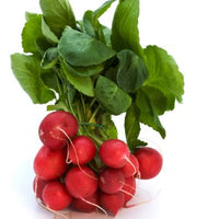 Radishes