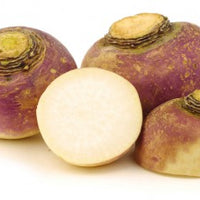 Rutabaga, swede