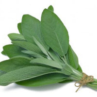 Sage